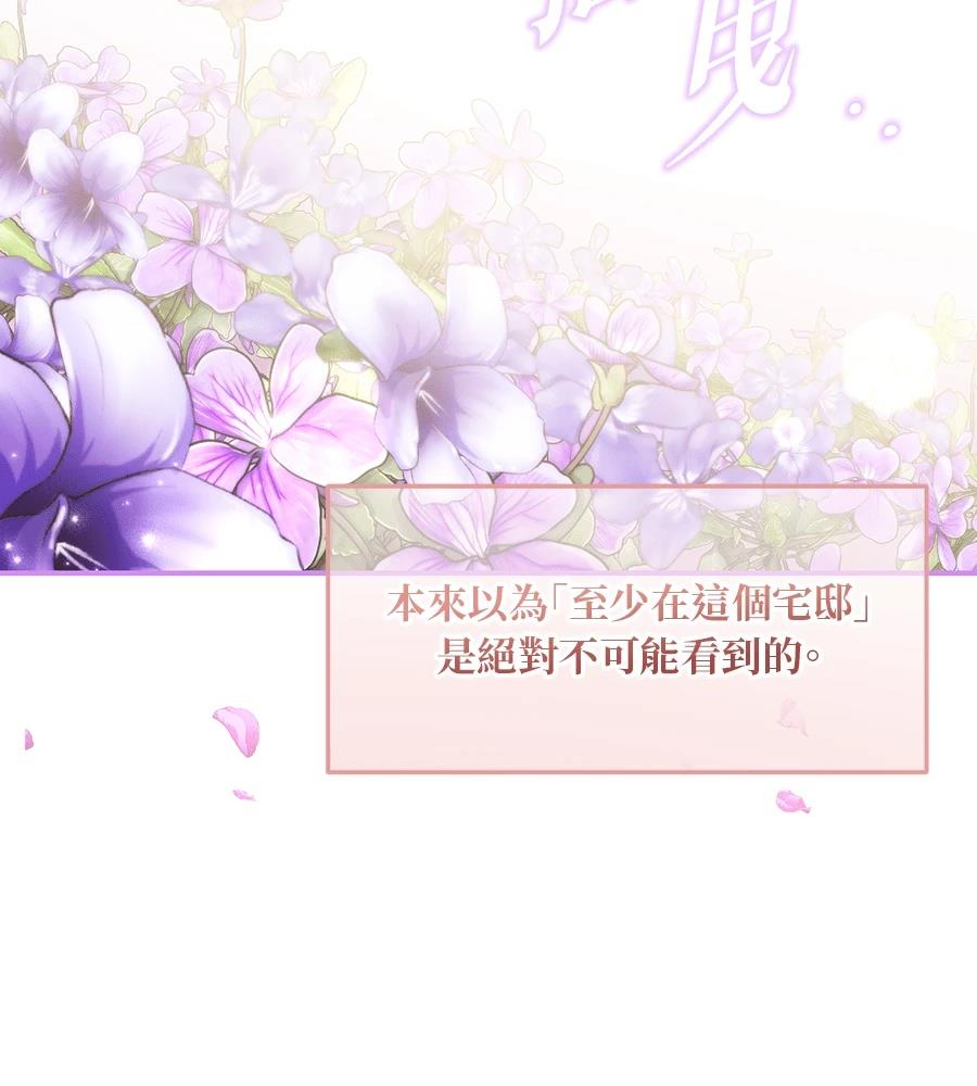 后院盛开的紫罗兰 第91话 第93页