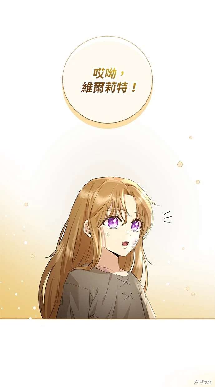 后院盛开的紫罗兰 第1话 第34页