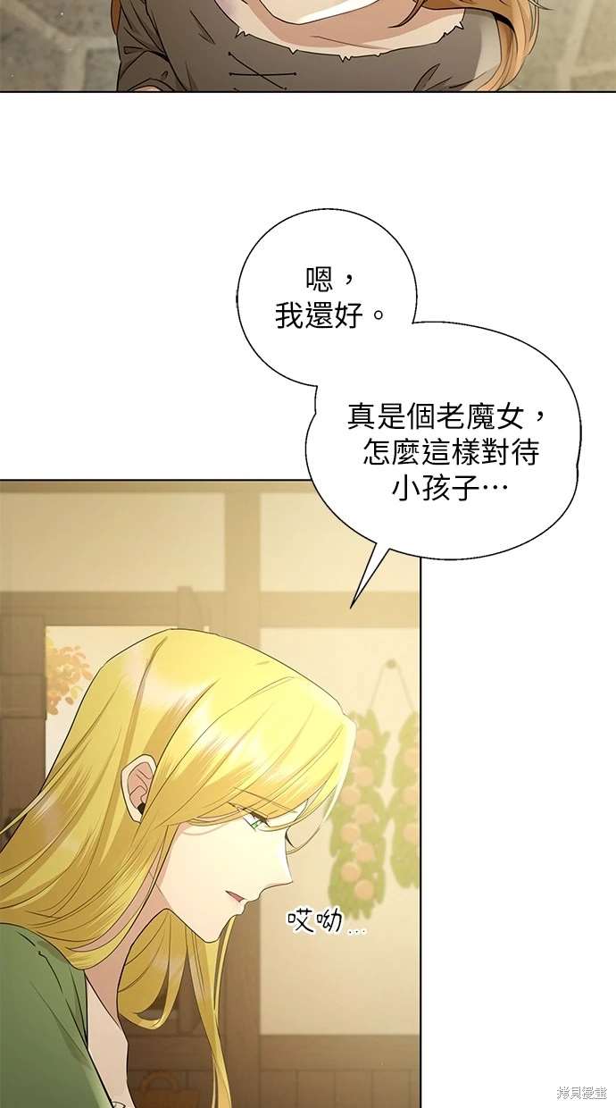 后院盛开的紫罗兰 第1话 第38页