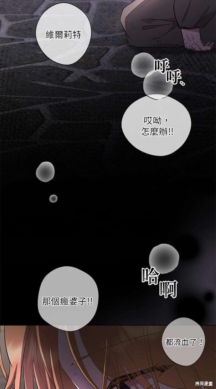 后院盛开的紫罗兰 第2话 第19页