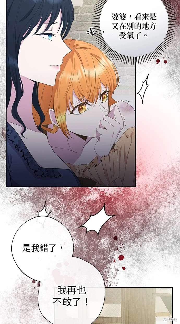 后院盛开的紫罗兰 第2话 第6页