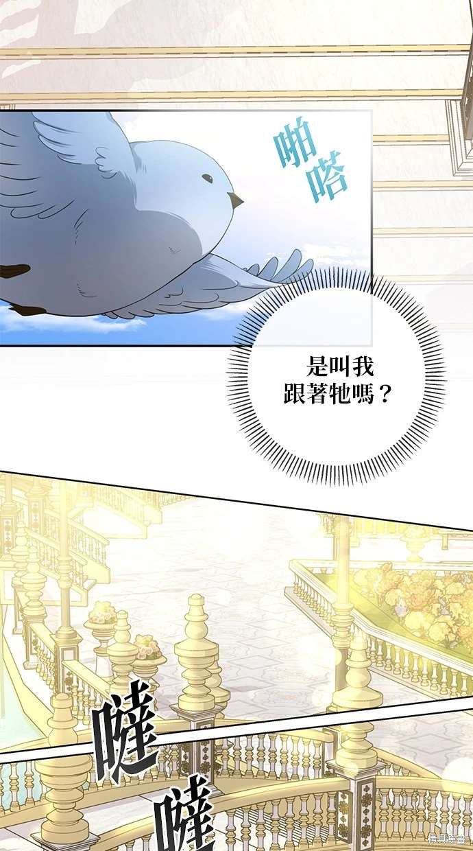 后院盛开的紫罗兰 第10话 第74页