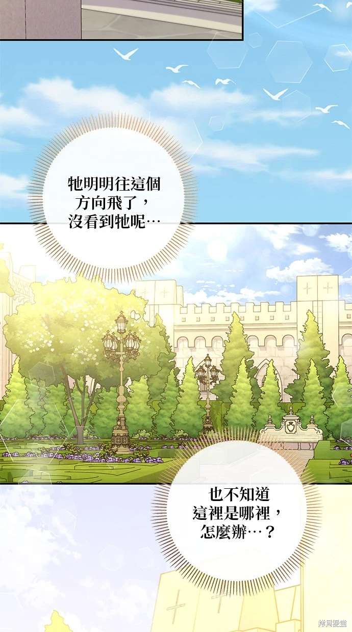 后院盛开的紫罗兰 第10话 第77页