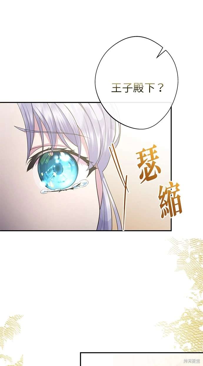 后院盛开的紫罗兰 第11话 第15页