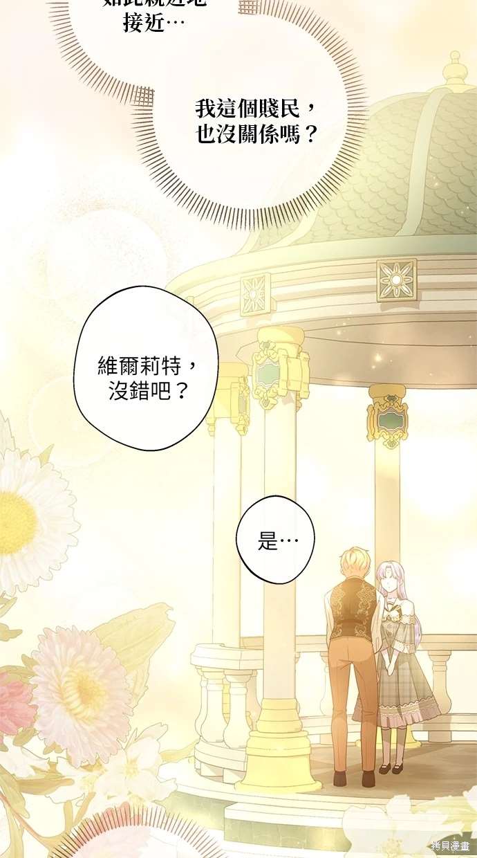 后院盛开的紫罗兰 第13话 第38页