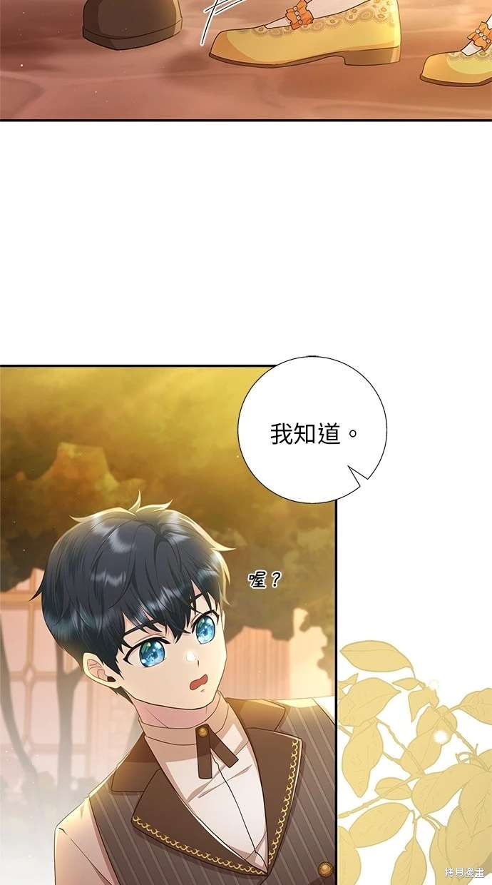后院盛开的紫罗兰 第15话 第26页
