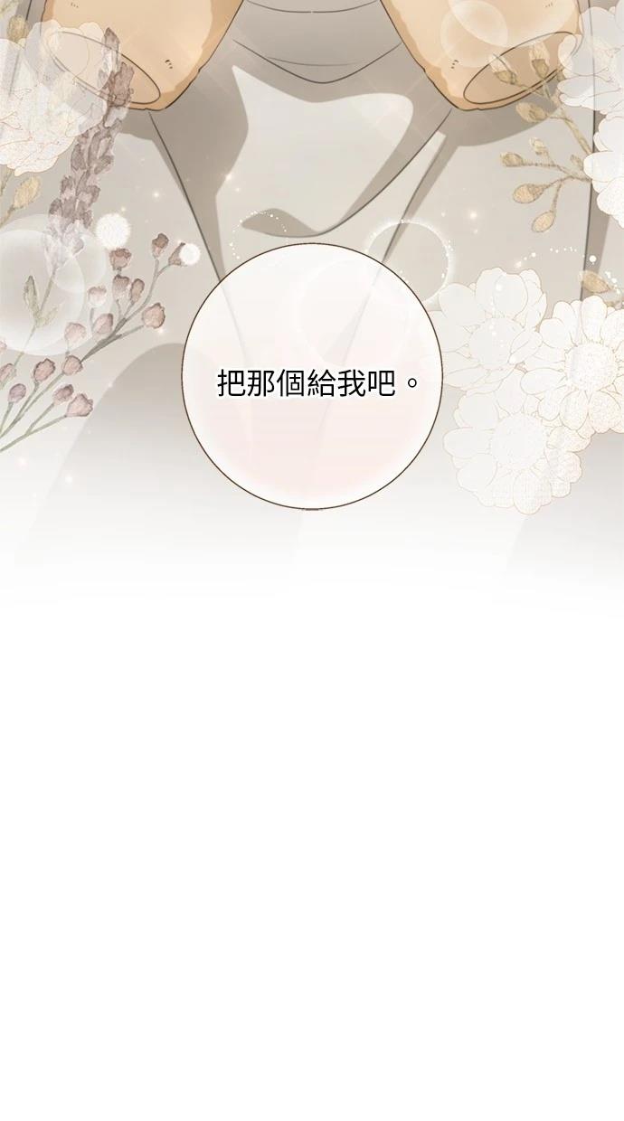 后院盛开的紫罗兰 第23话 第51页