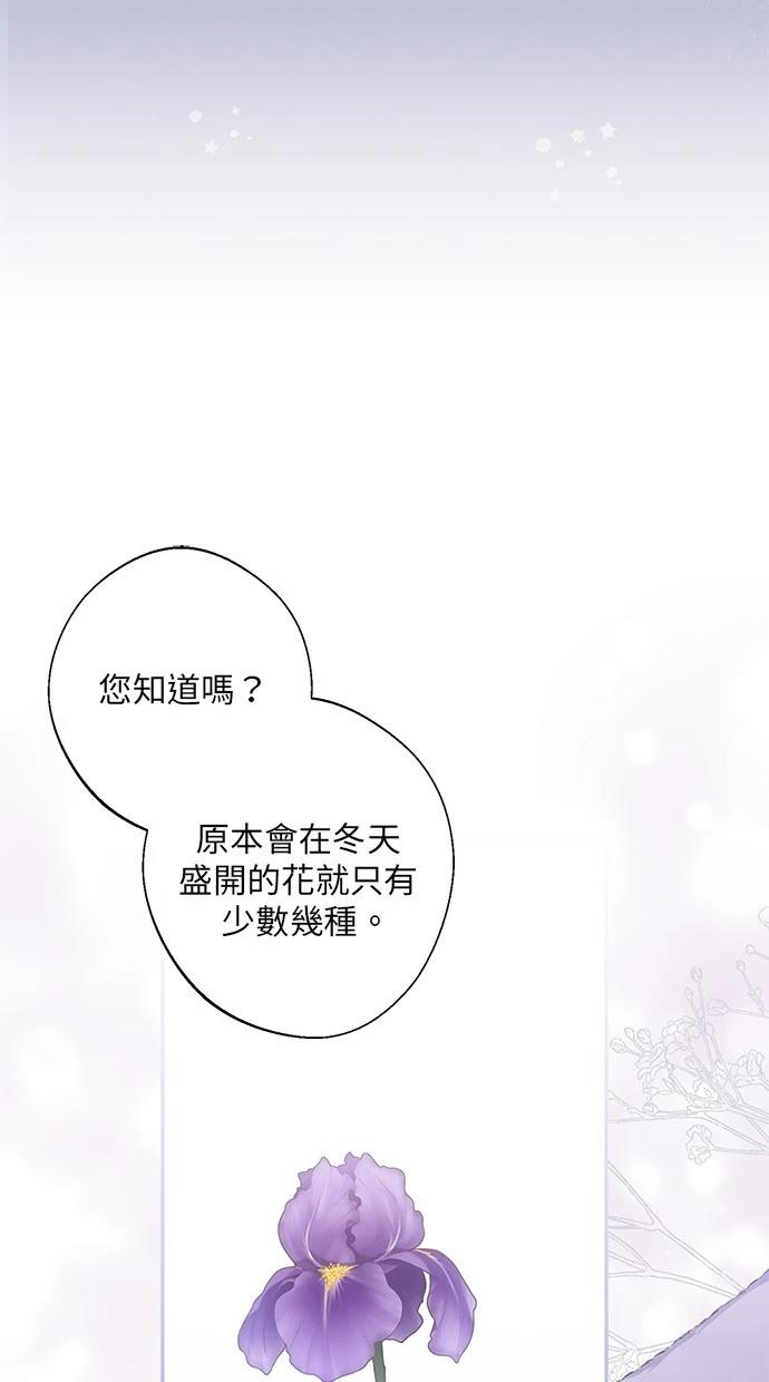 后院盛开的紫罗兰 第24话 第7页