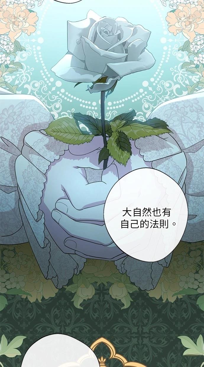 后院盛开的紫罗兰 第25话 第34页