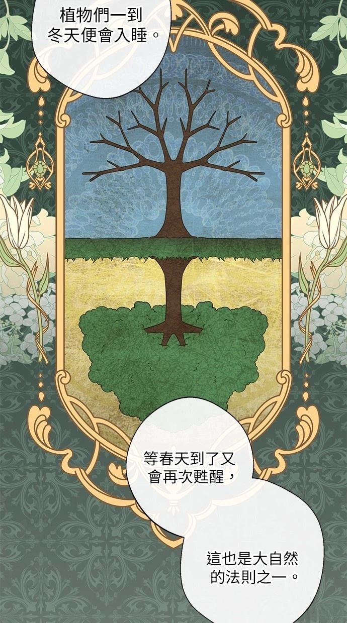 后院盛开的紫罗兰 第25话 第35页