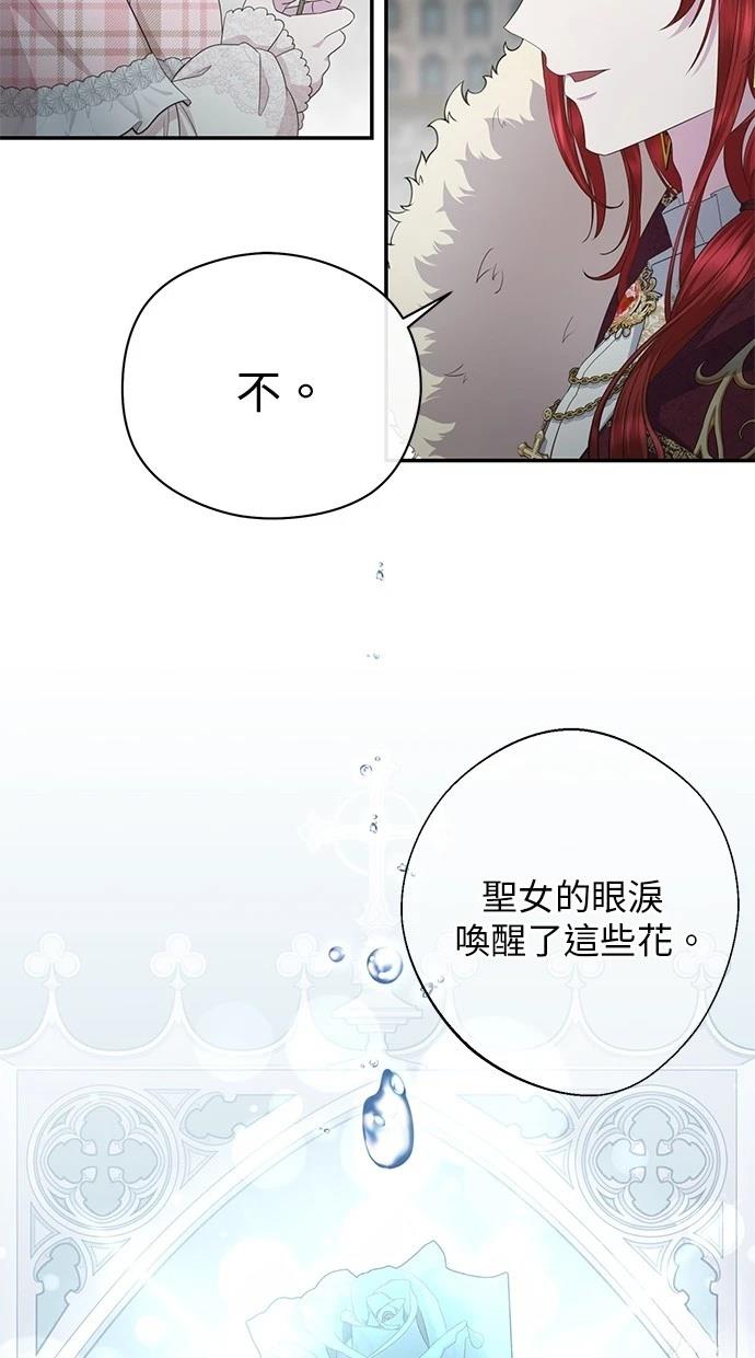 后院盛开的紫罗兰 第25话 第72页