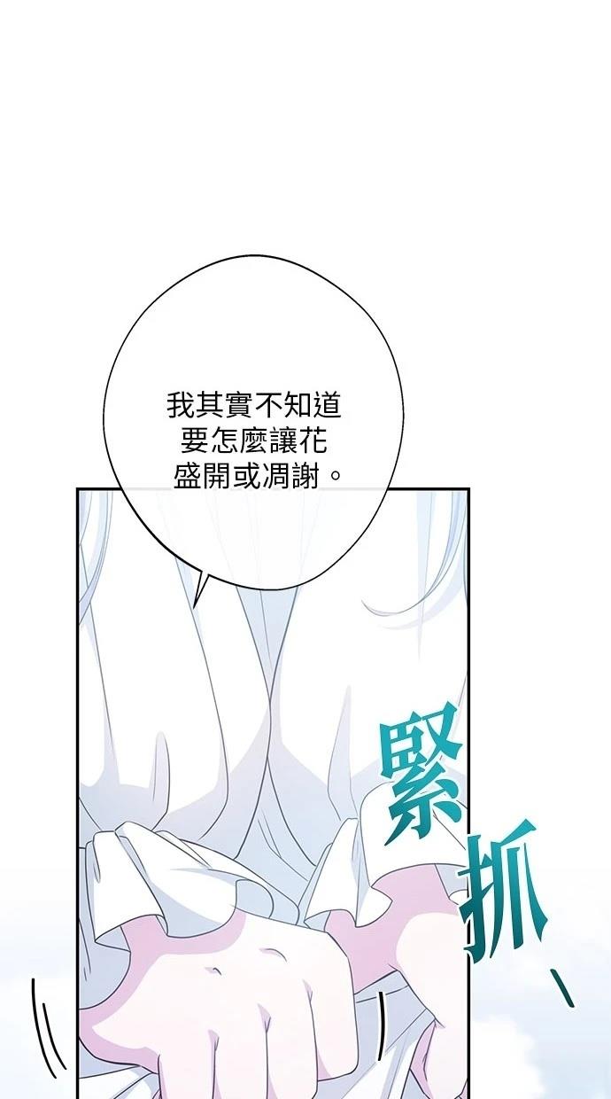 后院盛开的紫罗兰 第28话 第12页