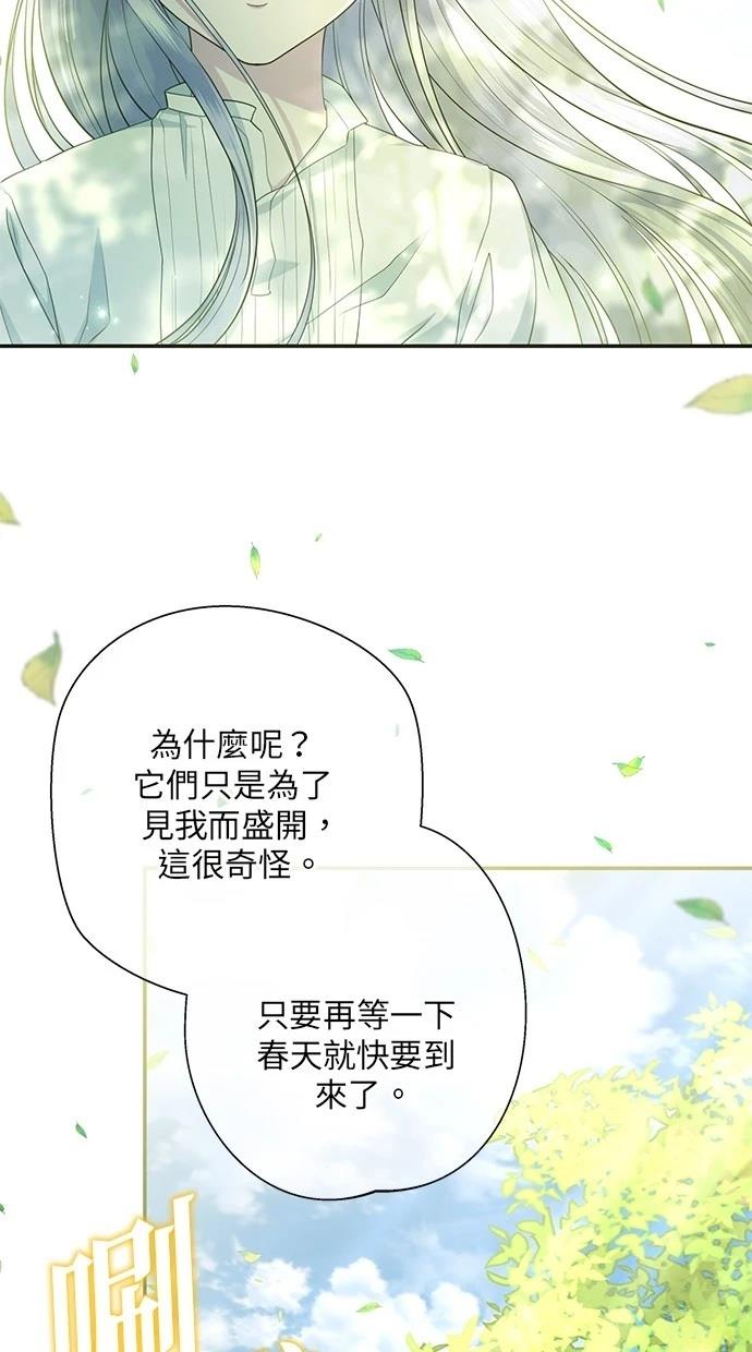 后院盛开的紫罗兰 第28话 第35页