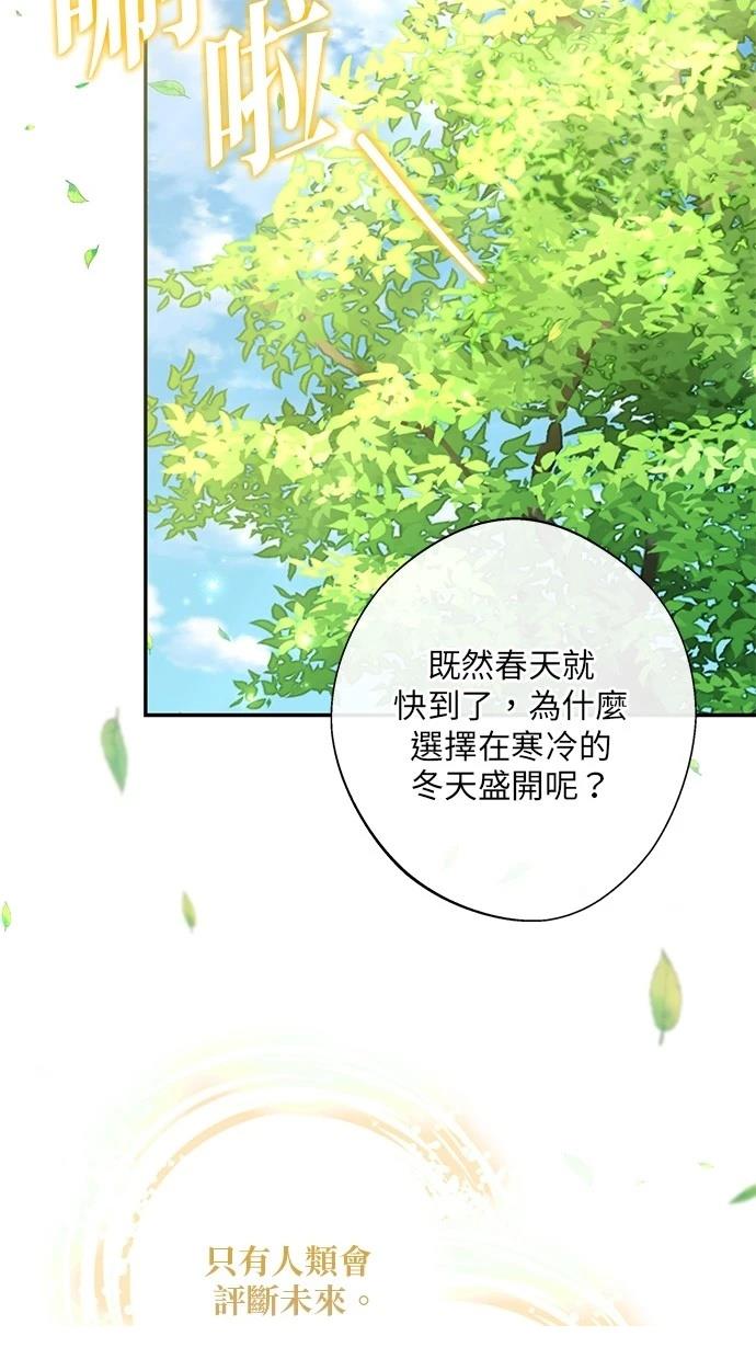后院盛开的紫罗兰 第28话 第36页