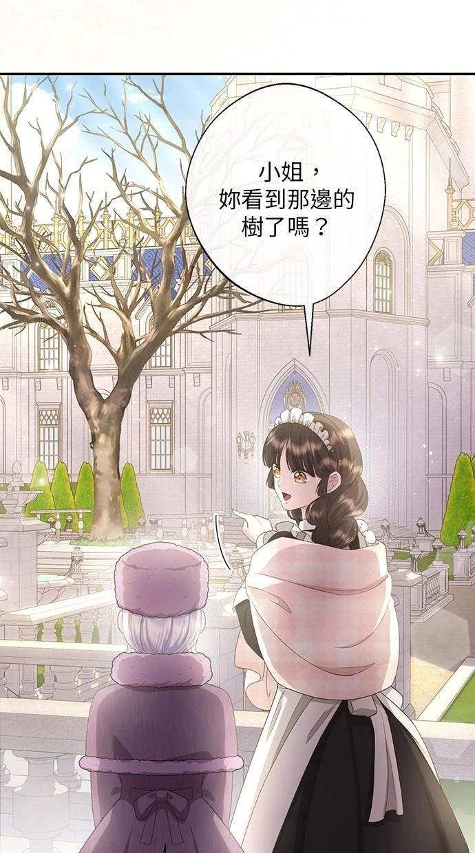 后院盛开的紫罗兰 第28话 第57页