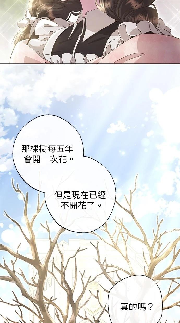 后院盛开的紫罗兰 第28话 第59页