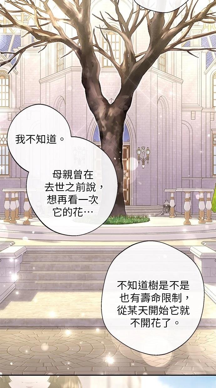 后院盛开的紫罗兰 第28话 第60页