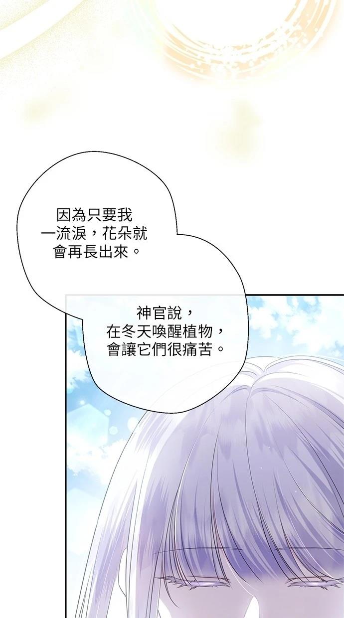 后院盛开的紫罗兰 第28话 第7页