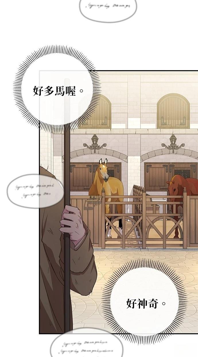 后院盛开的紫罗兰 第28话 第76页