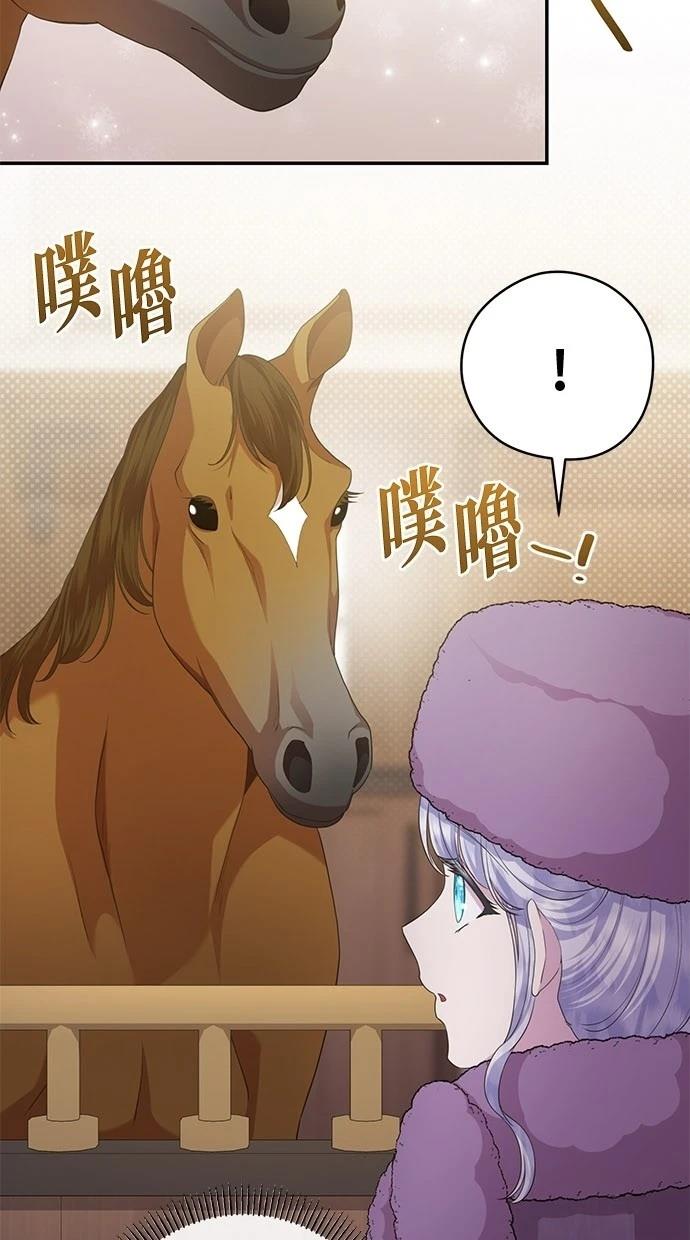 后院盛开的紫罗兰 第29话 第17页