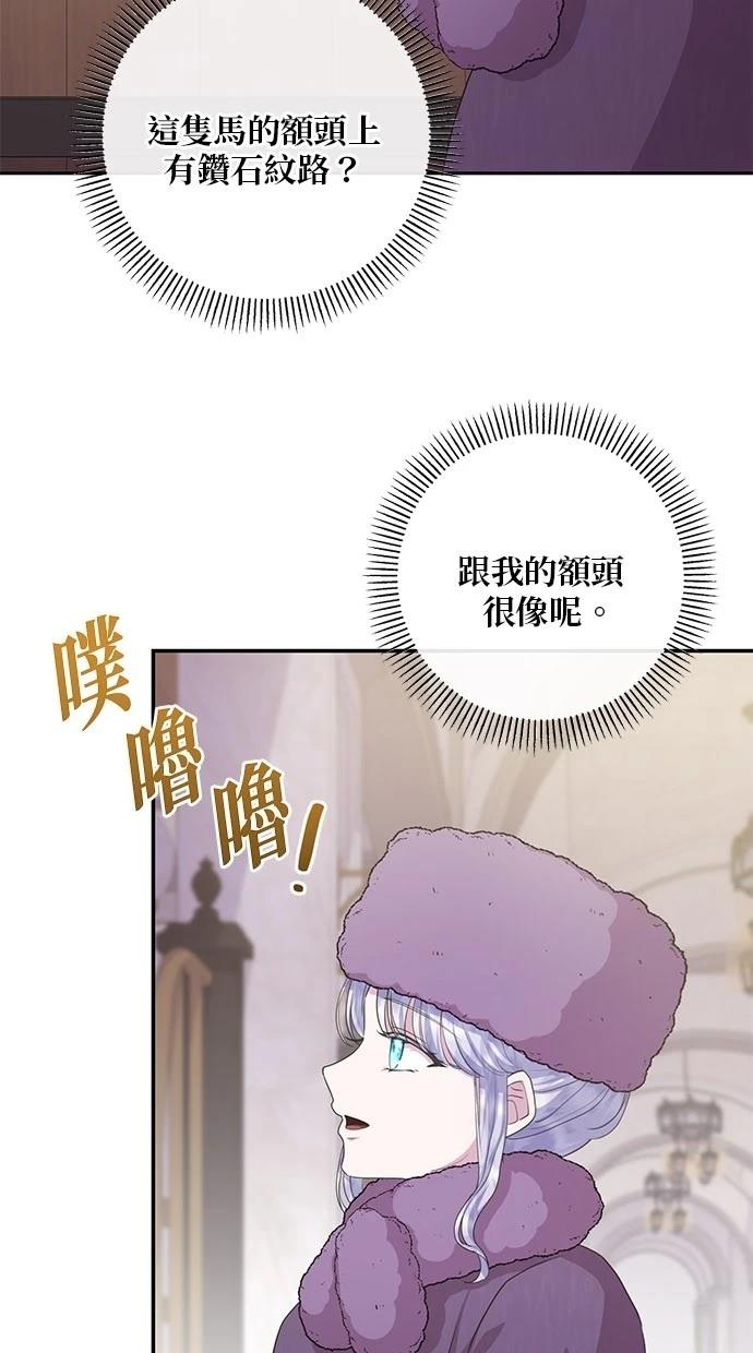 后院盛开的紫罗兰 第29话 第18页