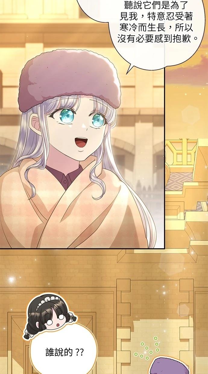 后院盛开的紫罗兰 第29话 第75页