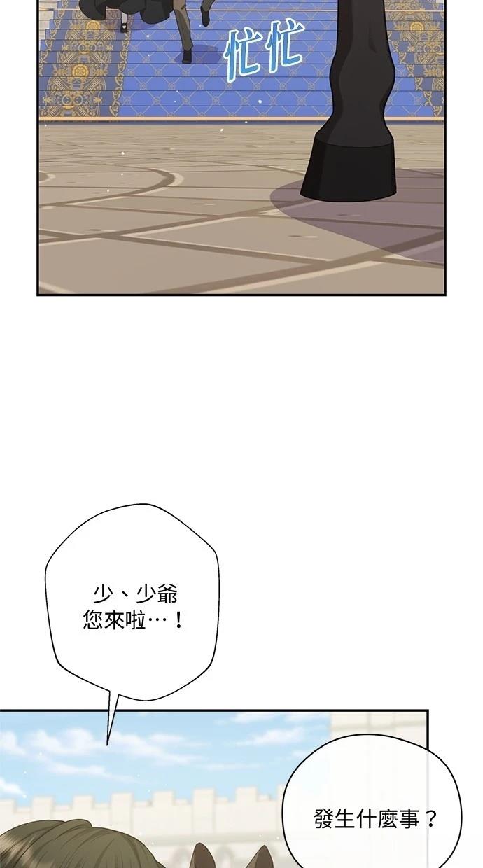 后院盛开的紫罗兰 第34话 第51页