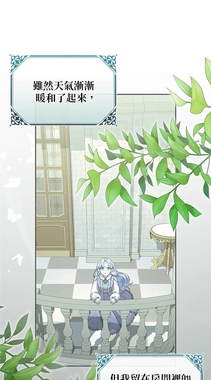 后院盛开的紫罗兰 第40话 第1页
