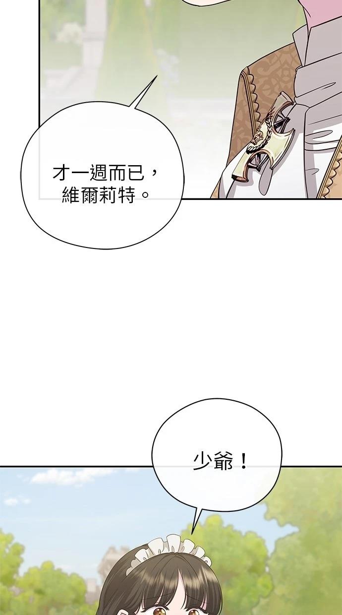 后院盛开的紫罗兰 第40话 第62页