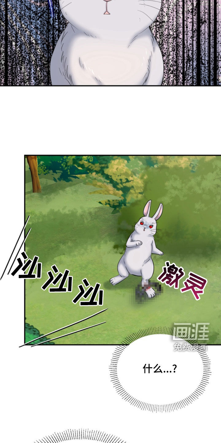 白兔为伴 第36话 第11页