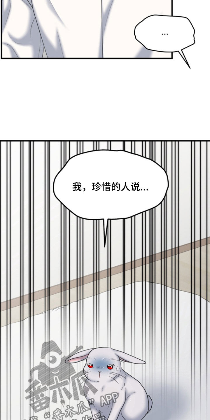 白兔为伴 第44话 第28页