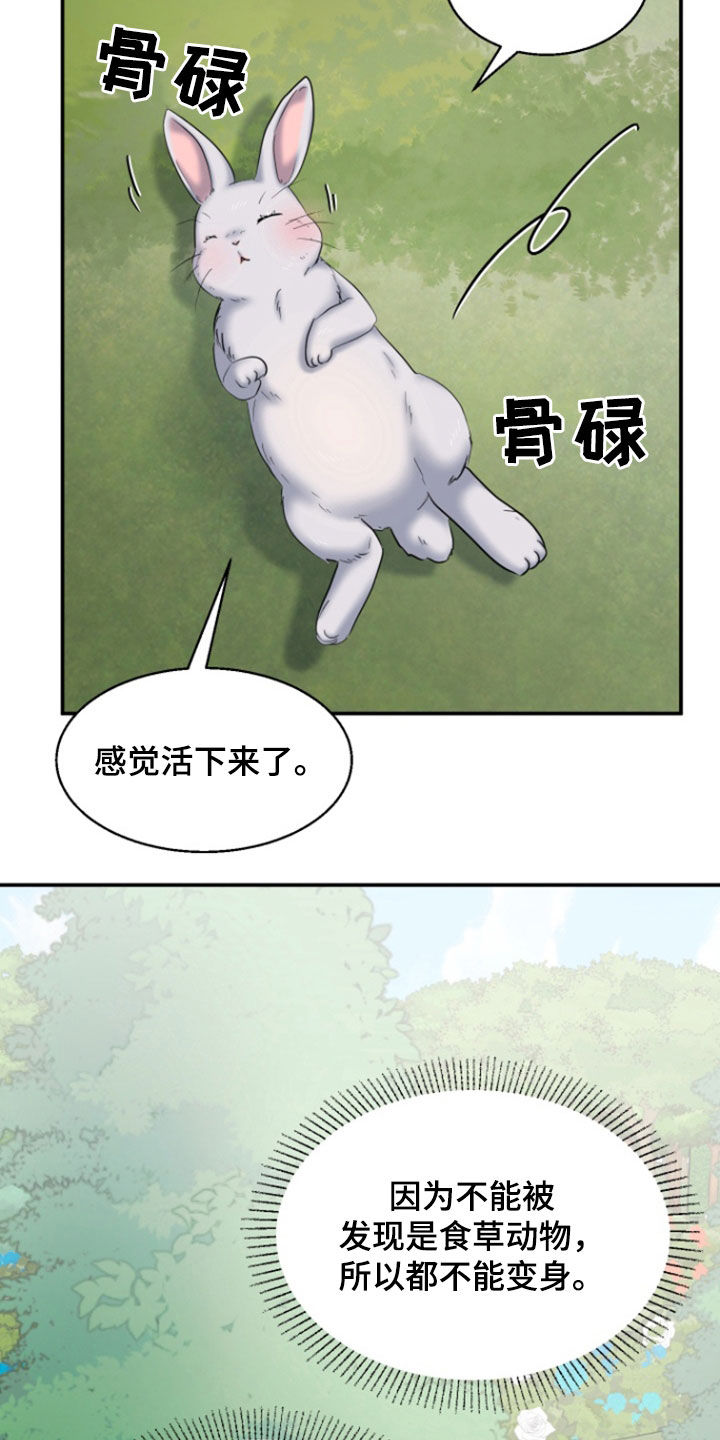 白兔为伴 第44话 第6页